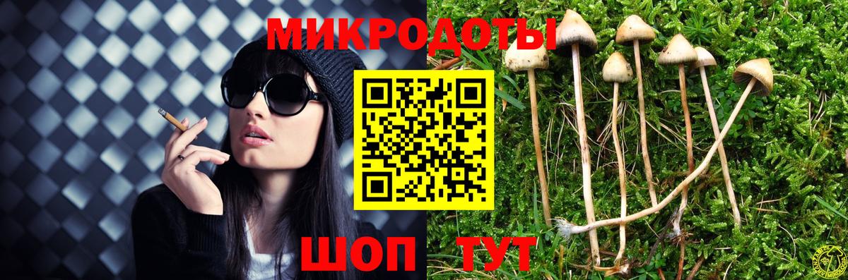 Галлюциногенные грибы ЛСД  Вход с VPN  Бердск 