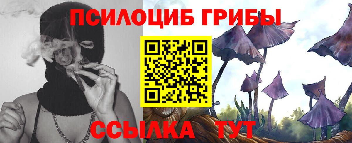 Псилоцибиновые грибы Magic Shrooms Бердск