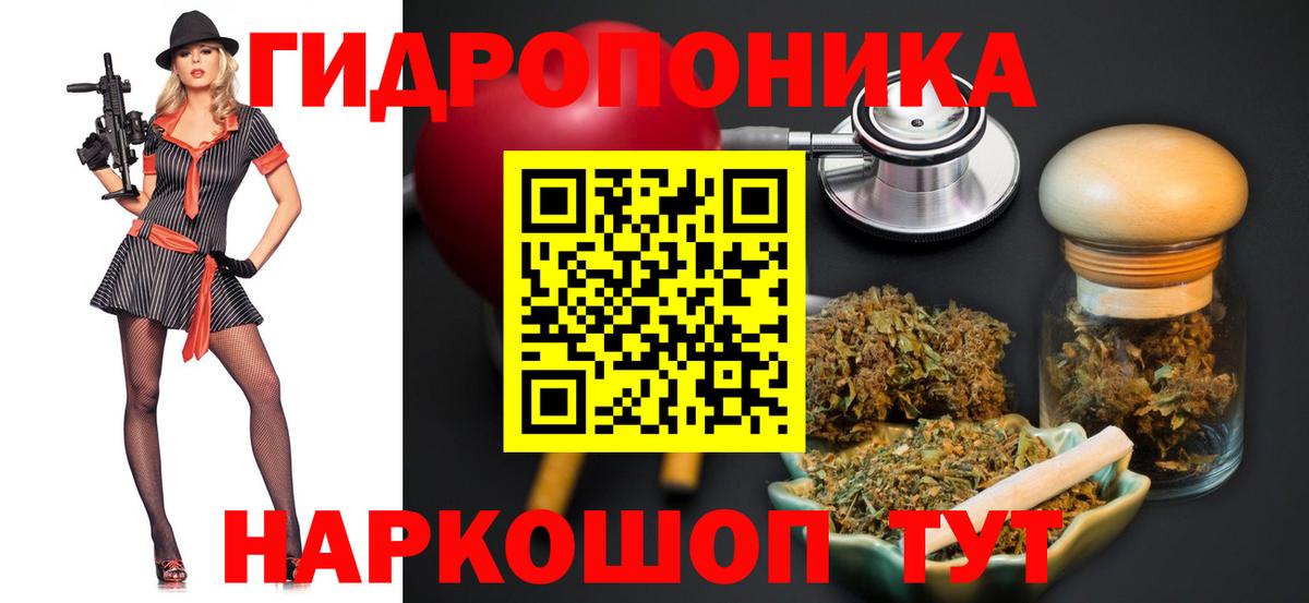 Шишки марихуана MAZAR  Вход с VPN  МАРИХУАНА Amnesia  Бошки марихуана тримм  Бердск 